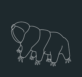 Introduction of Tardigrades