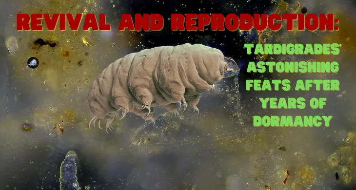 Tardigrades Astonishing Feats After Years of Dormancy