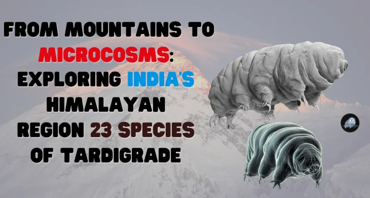From Mountains to Microcosms