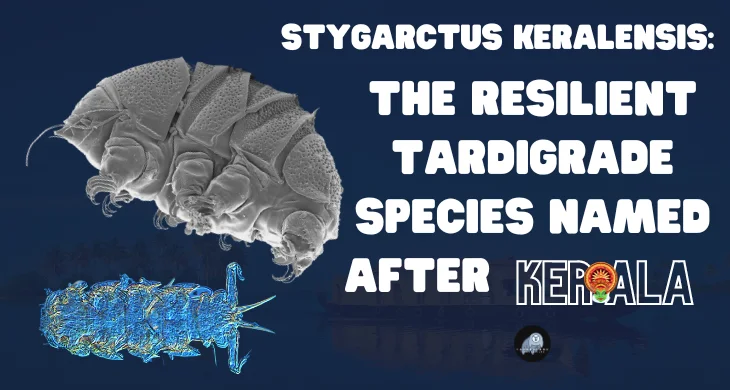 The Resilient Tardigrade Species Named after Kerala