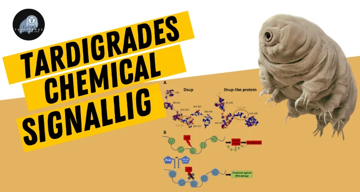 Chemical Signalling Secrets