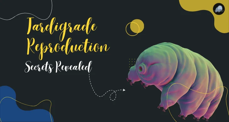Tardigrade Reproduction