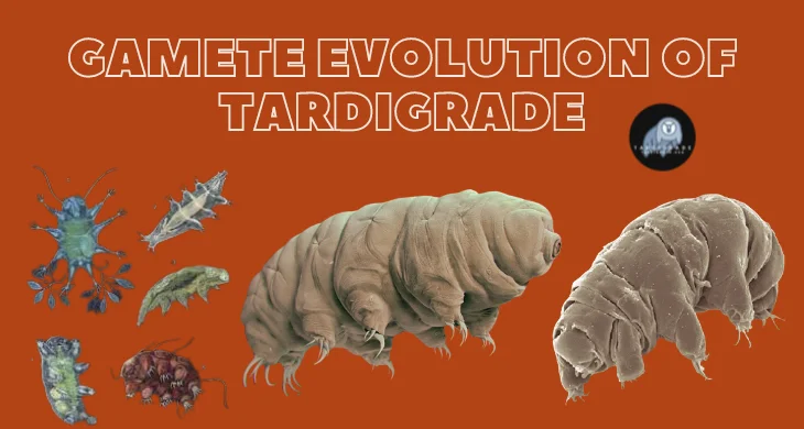 evolution of Tardigrade