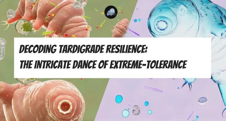Decoding Tardigrade Resilience: The Intricate Dance of Extreme-Tolerance